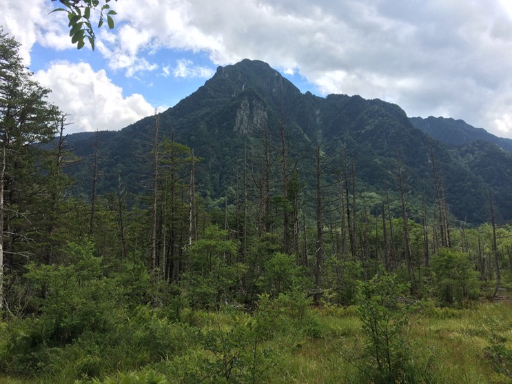 Photo 16-08-2015 12 32 40 (1)