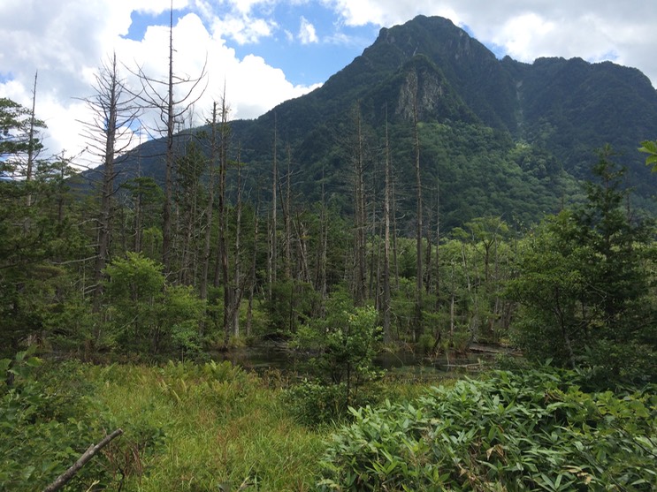 Photo 16-08-2015 12 33 18