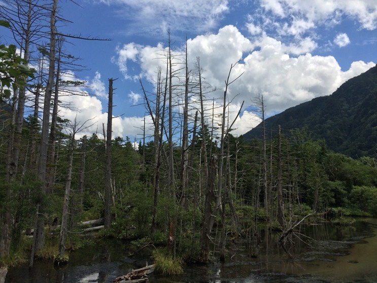 Photo 16-08-2015 12 34 02 (1)