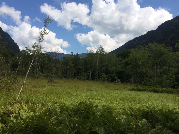 Photo 16-08-2015 12 36 52