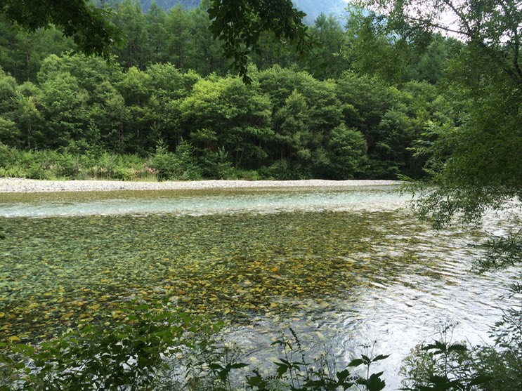 Photo 16-08-2015 12 58 45