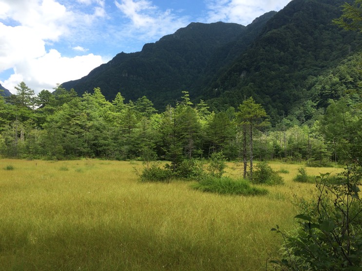 Photo 16-08-2015 13 29 06