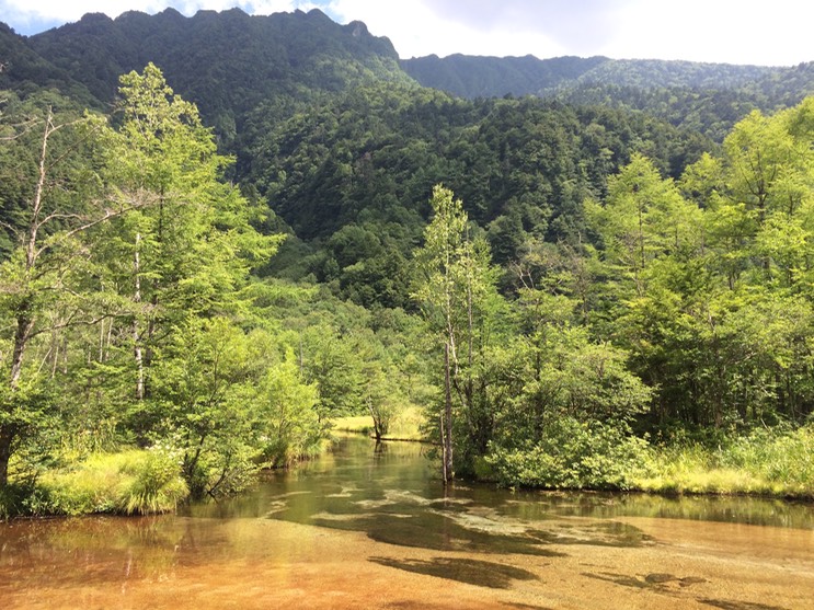 Photo 16-08-2015 13 31 13