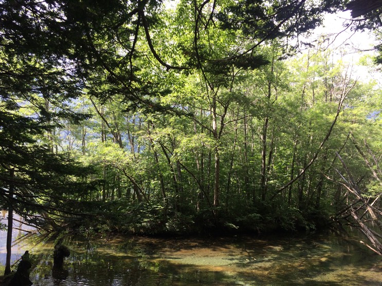 Photo 16-08-2015 14 06 37