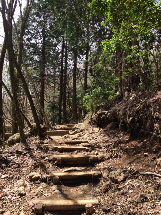 Photo 18-04-2015 11 12 45