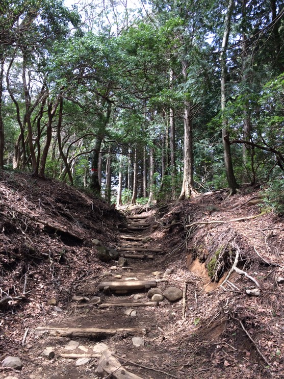 Photo 18-04-2015 11 14 11