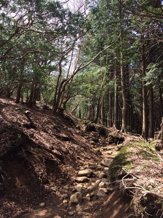 Photo 18-04-2015 11 17 35