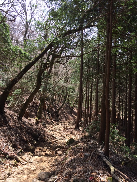 Photo 18-04-2015 11 21 05