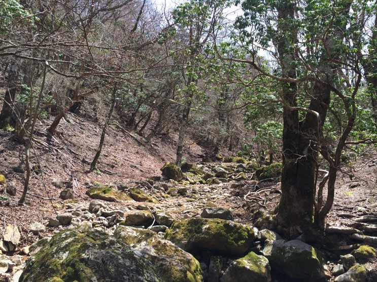 Photo 18-04-2015 11 24 23