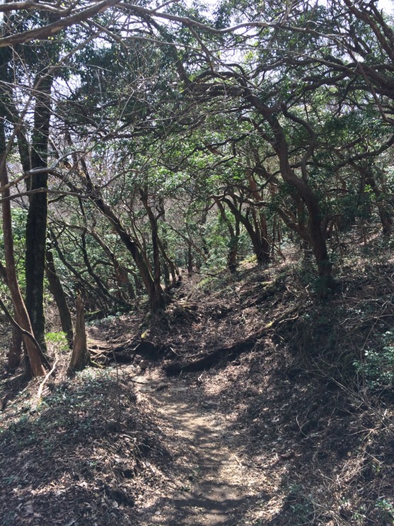 Photo 18-04-2015 11 25 45