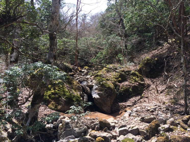 Photo 18-04-2015 11 28 14