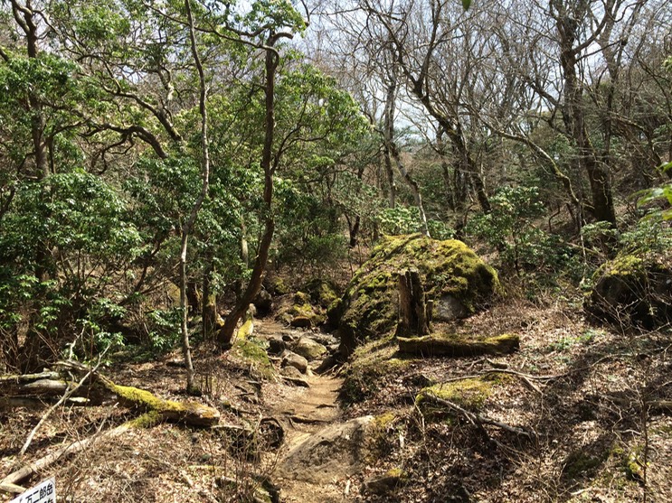 Photo 18-04-2015 11 28 25