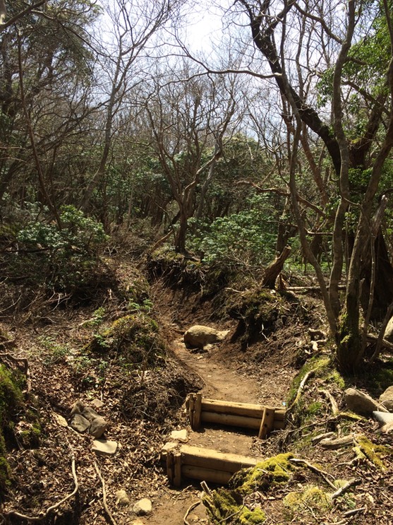 Photo 18-04-2015 11 31 18