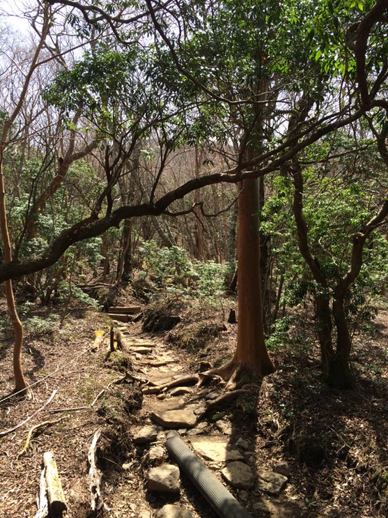 Photo 18-04-2015 11 35 44