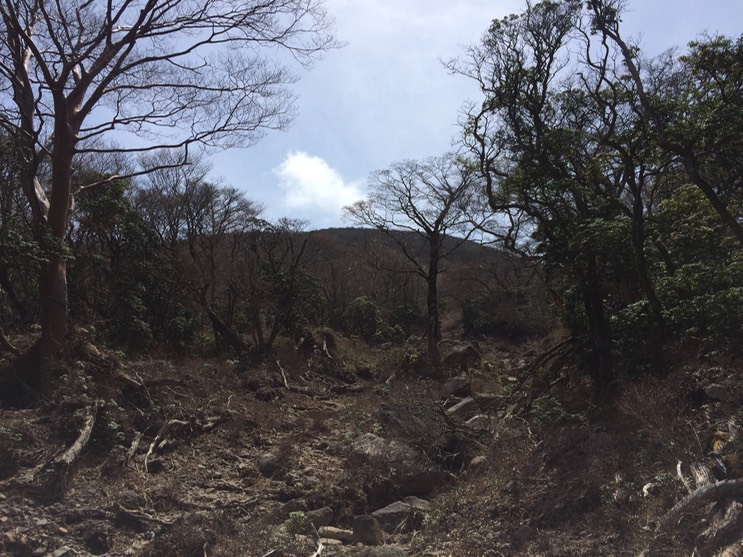 Photo 18-04-2015 11 37 36