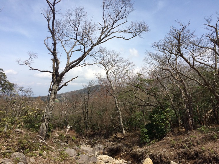 Photo 18-04-2015 11 37 55