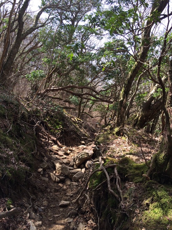 Photo 18-04-2015 11 41 44