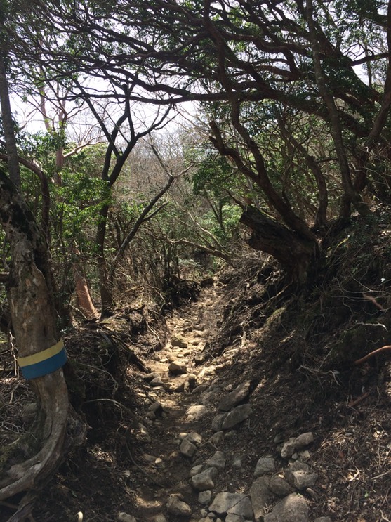 Photo 18-04-2015 11 43 51