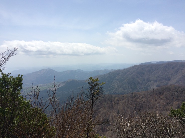 Photo 18-04-2015 12 05 04