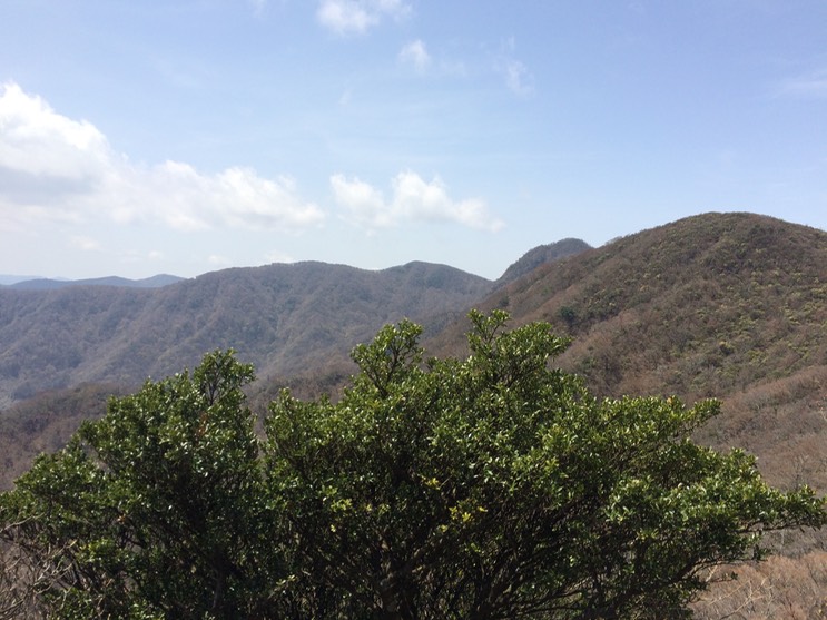 Photo 18-04-2015 12 05 10