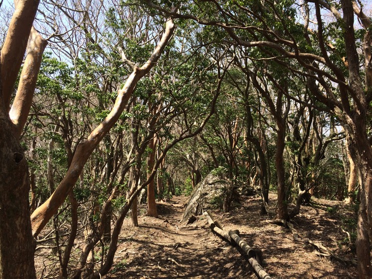 Photo 18-04-2015 12 11 12