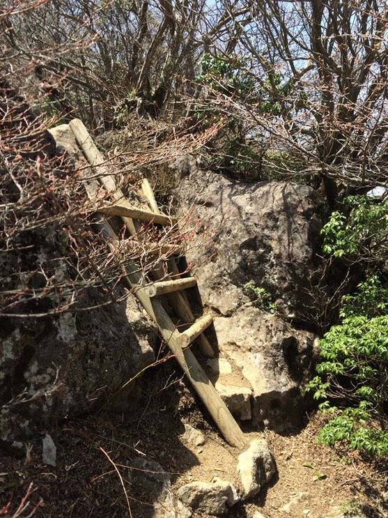 Photo 18-04-2015 12 16 17