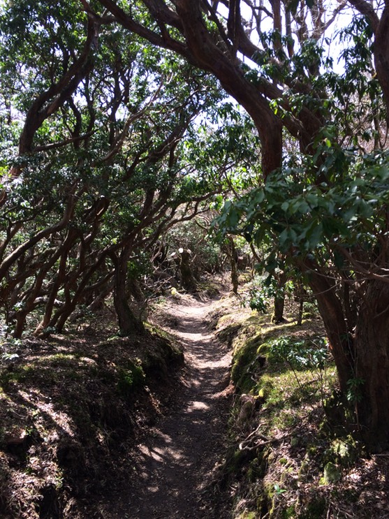 Photo 18-04-2015 12 20 20