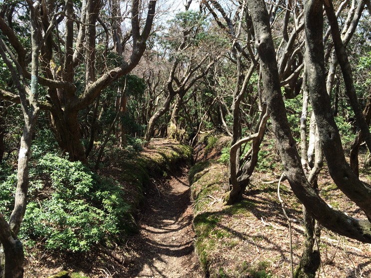 Photo 18-04-2015 12 21 02