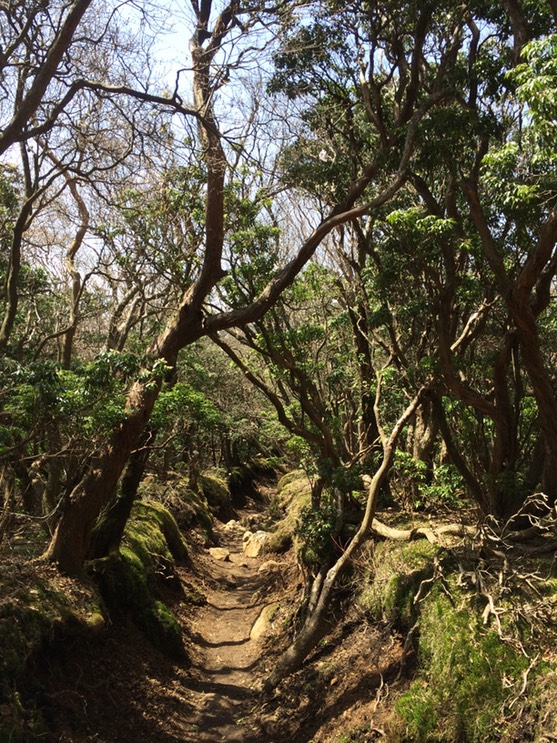 Photo 18-04-2015 12 21 26