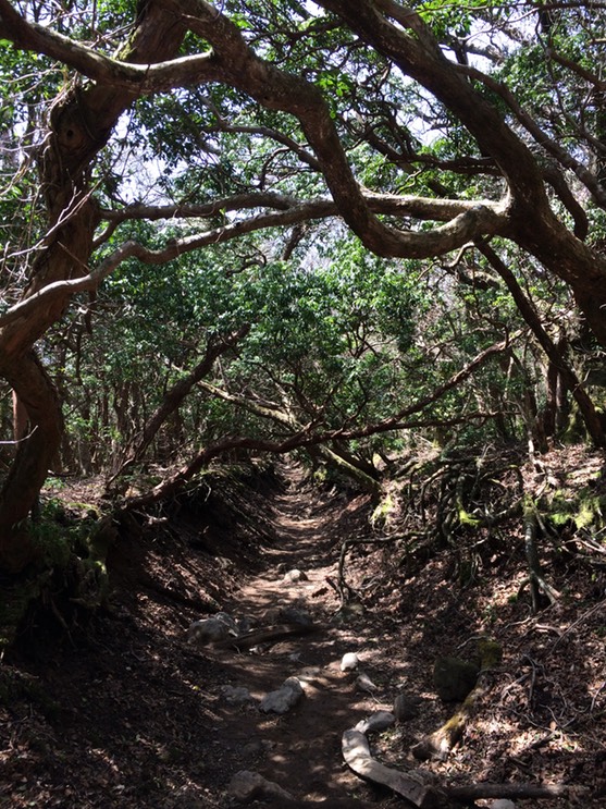 Photo 18-04-2015 12 23 18