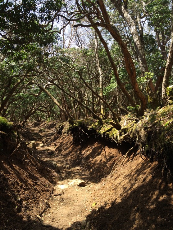 Photo 18-04-2015 12 24 53