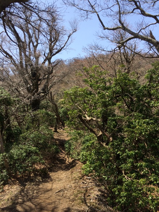 Photo 18-04-2015 12 39 46