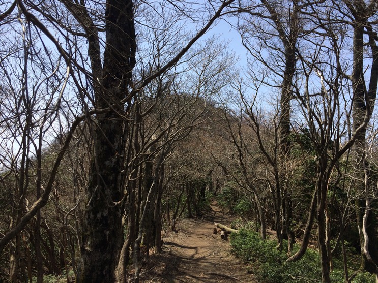 Photo 18-04-2015 12 49 36