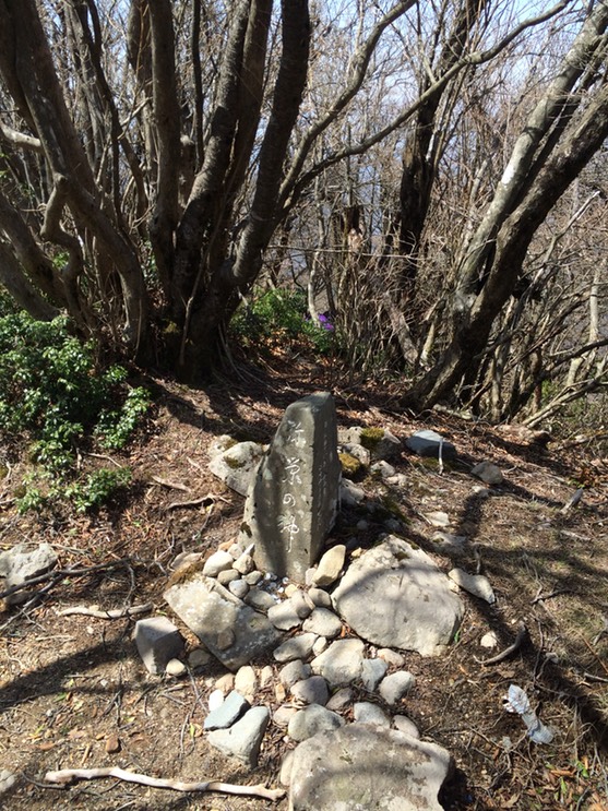 Photo 18-04-2015 12 59 13