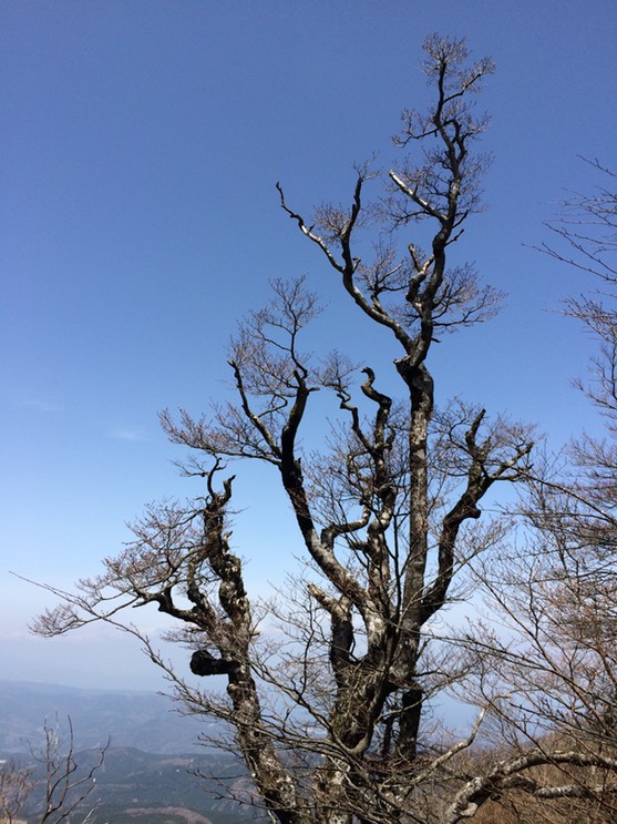 Photo 18-04-2015 13 04 46