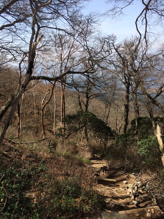 Photo 18-04-2015 13 19 52