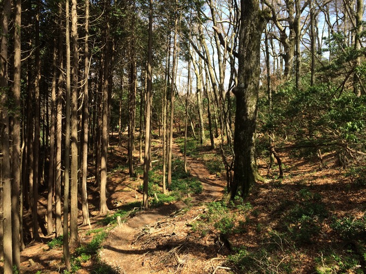 Photo 18-04-2015 13 38 31