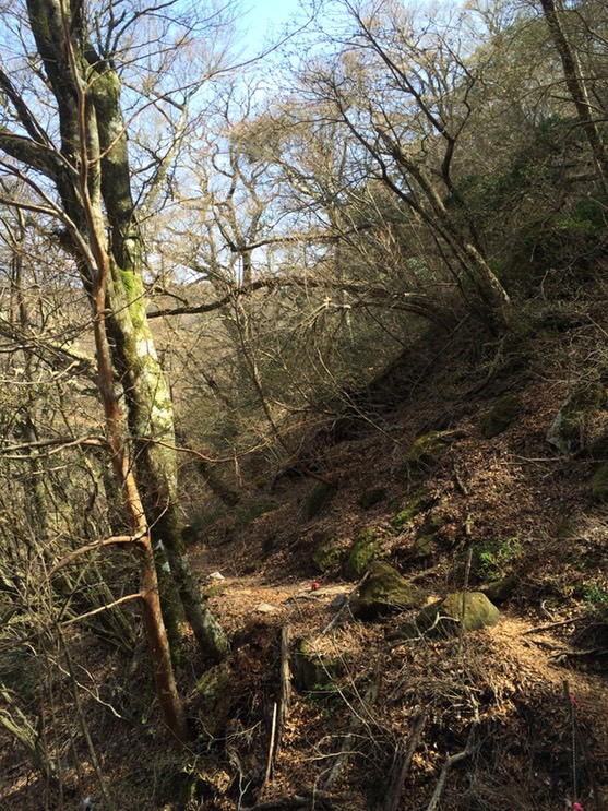 Photo 18-04-2015 13 40 19