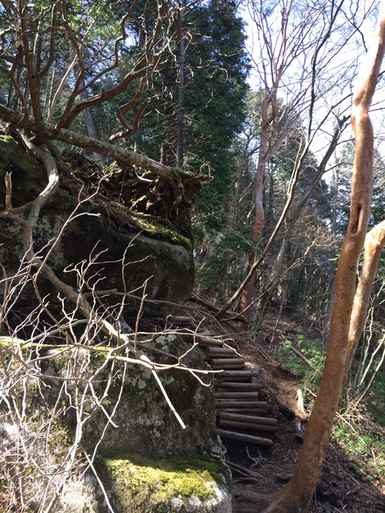 Photo 18-04-2015 13 50 50