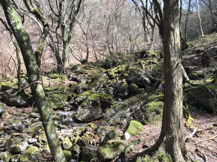 Photo 18-04-2015 14 02 36