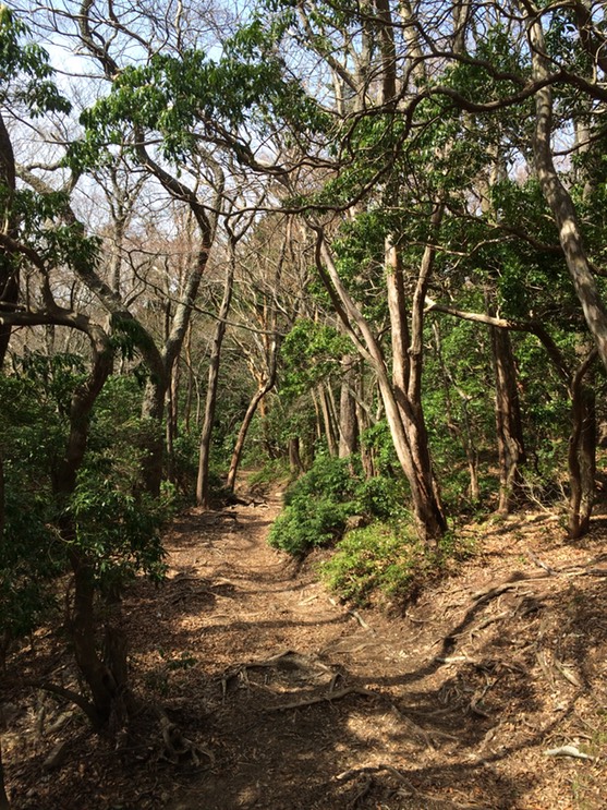 Photo 18-04-2015 14 15 37