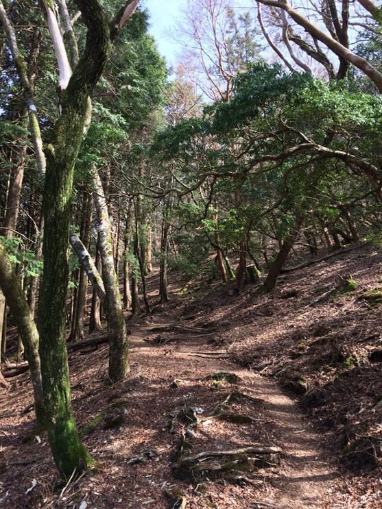 Photo 18-04-2015 14 19 12 (1)