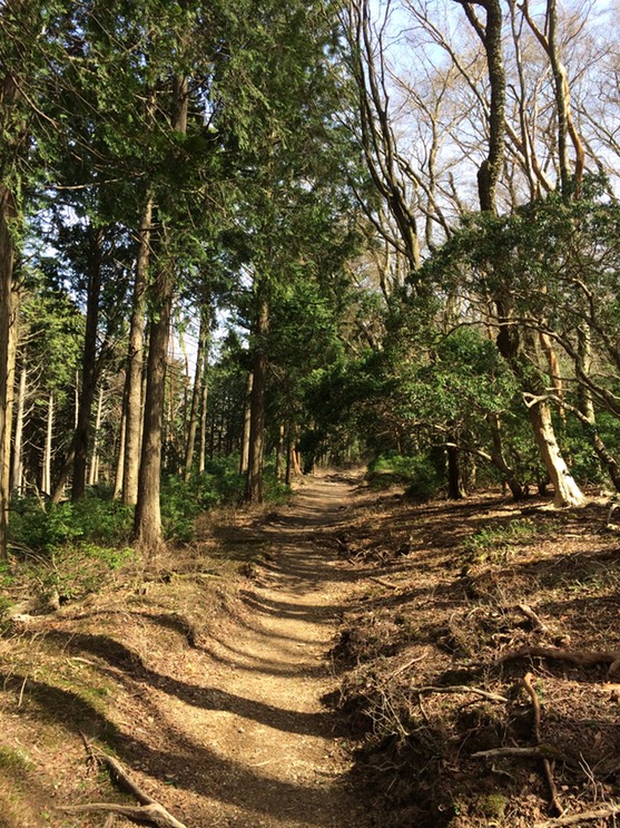 Photo 18-04-2015 14 21 21