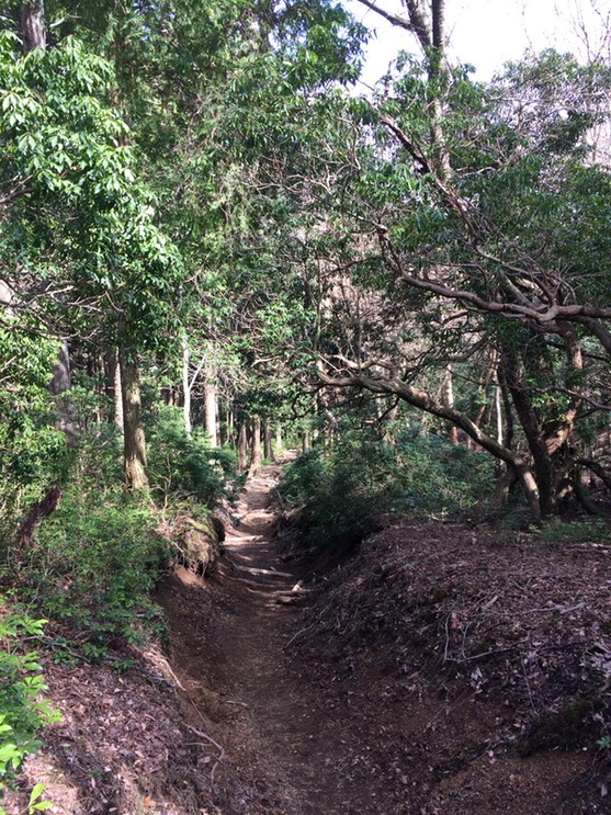 Photo 18-04-2015 14 22 37