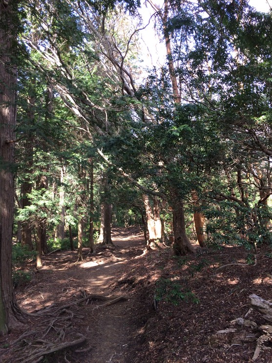 Photo 18-04-2015 14 30 59