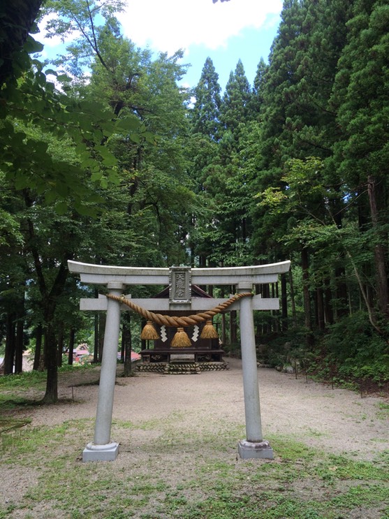 Photo 18-08-2015 11 12 17