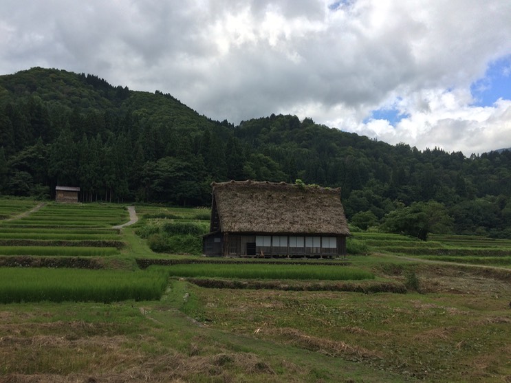 Photo 18-08-2015 11 42 16