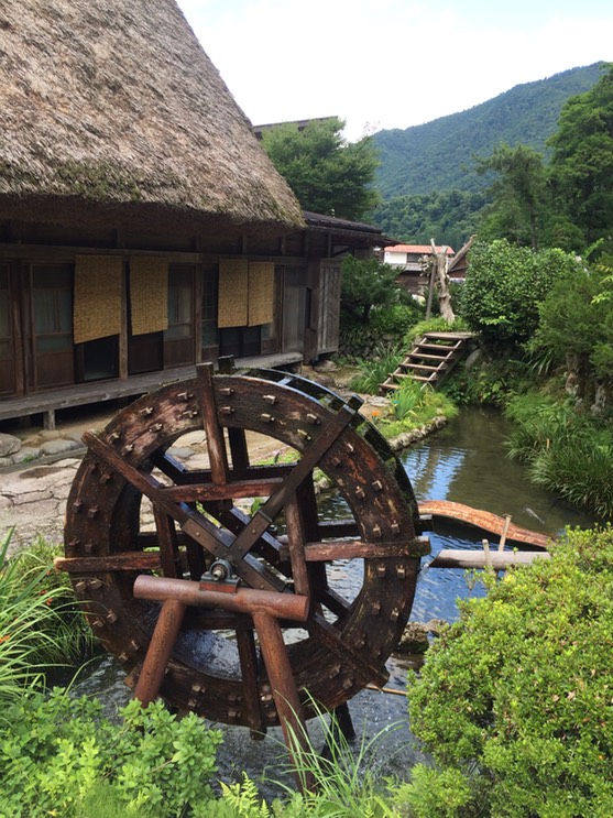 Photo 18-08-2015 11 45 45