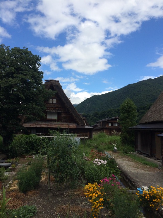 Photo 18-08-2015 11 48 18