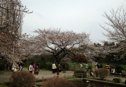 Photo 20-03-2013 13 31 19